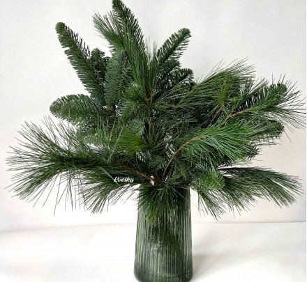 Bouquet of pine needles №1